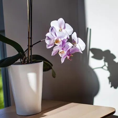 Baltycka By Renters * Swinoujscie